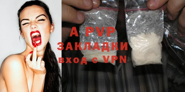 apvp Верея